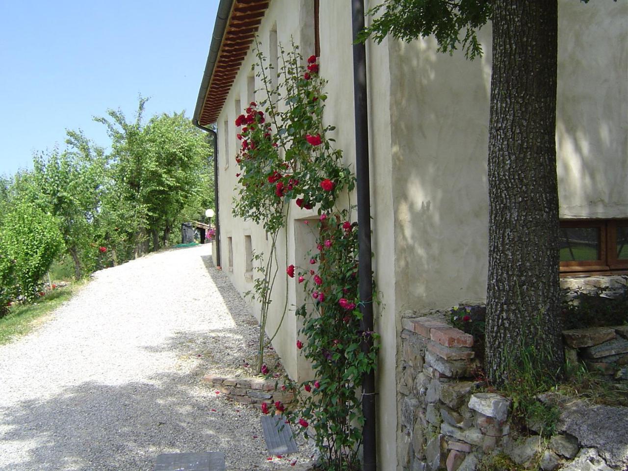 Podere Le Ghiande Castell Azzara Экстерьер фото