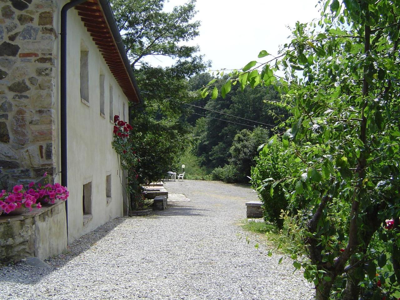 Podere Le Ghiande Castell Azzara Экстерьер фото