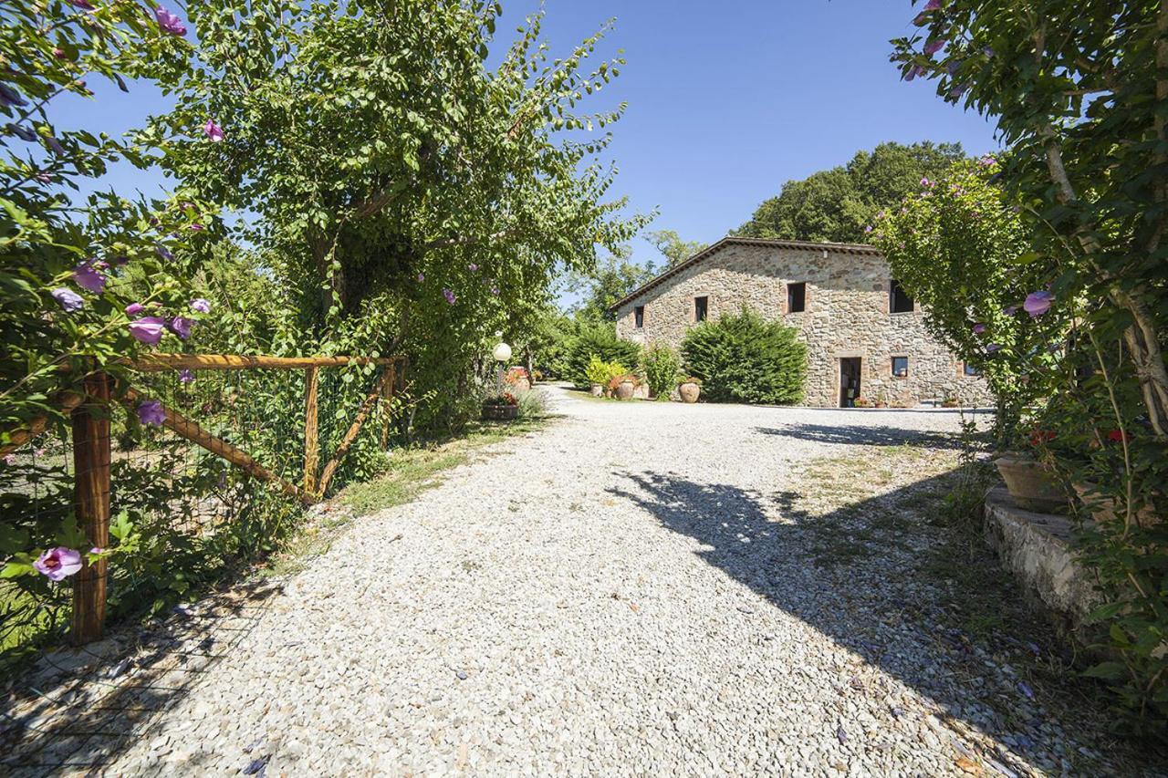 Podere Le Ghiande Castell Azzara Экстерьер фото